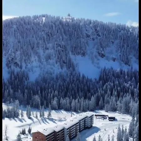 Apartment Winter Magic Snjezna Dolina